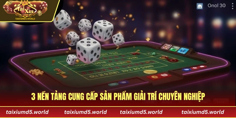 3 nền tảng cung cấp sản phẩm giải trí chuyên nghiệp