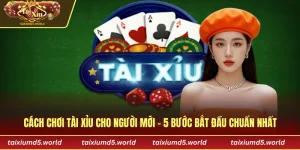 Cách Chơi Tài Xỉu Cho Người Mới