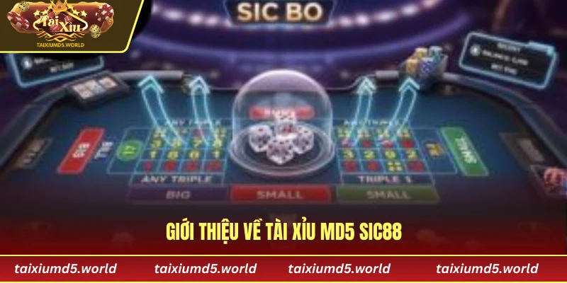 Giới thiệu về tài xỉu MD5 Sic88
